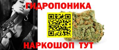 бошки Тара