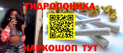 бошки Тара