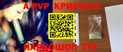 бошки Тара